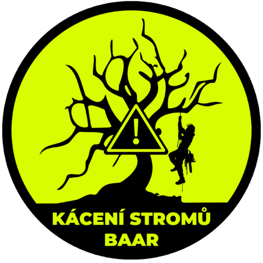 Kácení stromů Baar