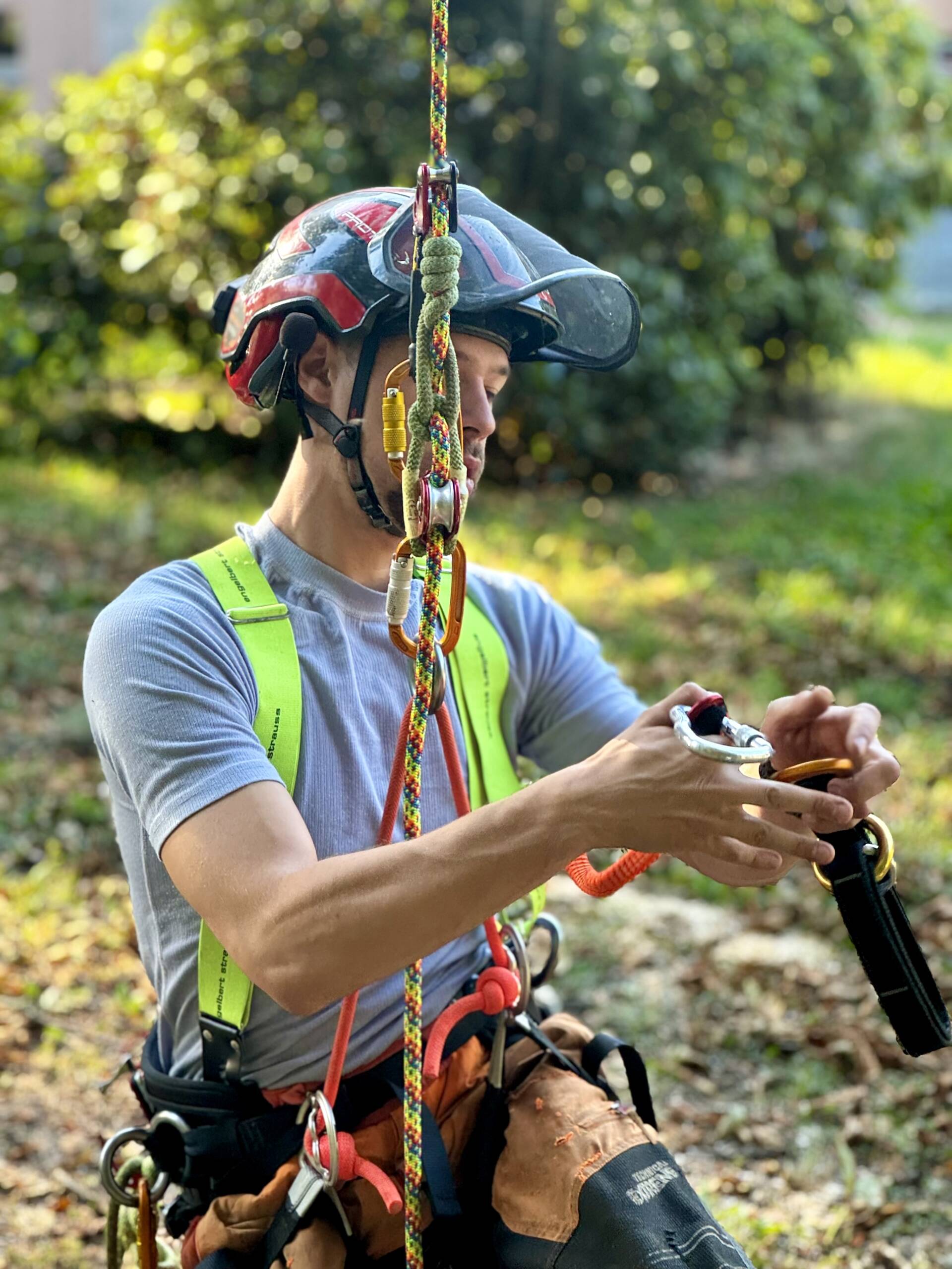 rizikove kaceni stromu Baar