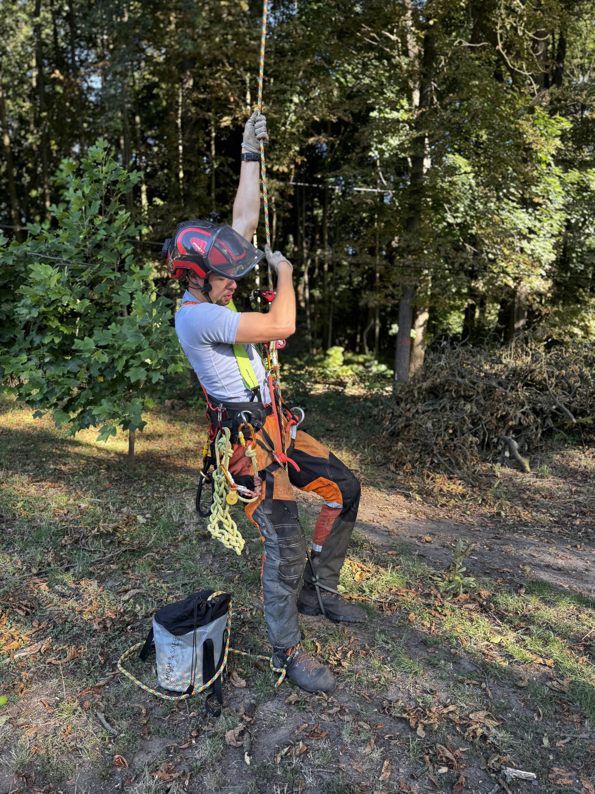 Rizikové kácení stromů