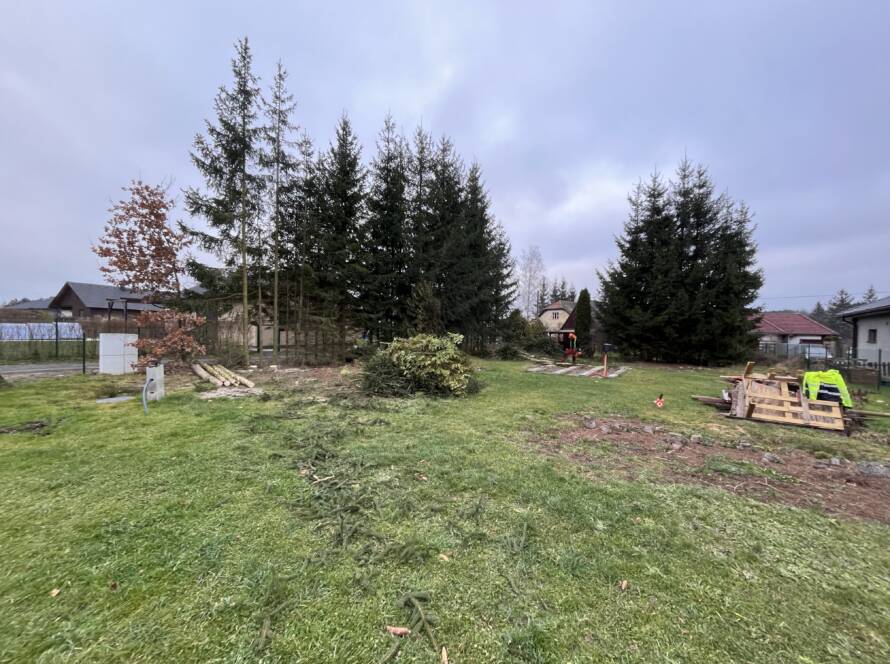 kaceni_stromu_baar_1