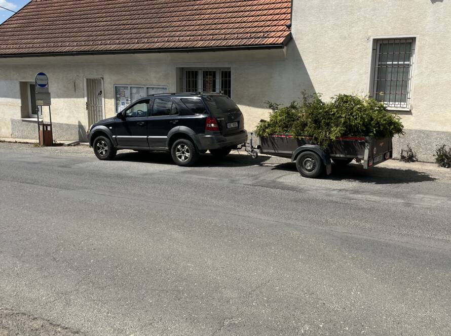 seriznuti-spicek-tuji-a-natreni-stitu-baar-3