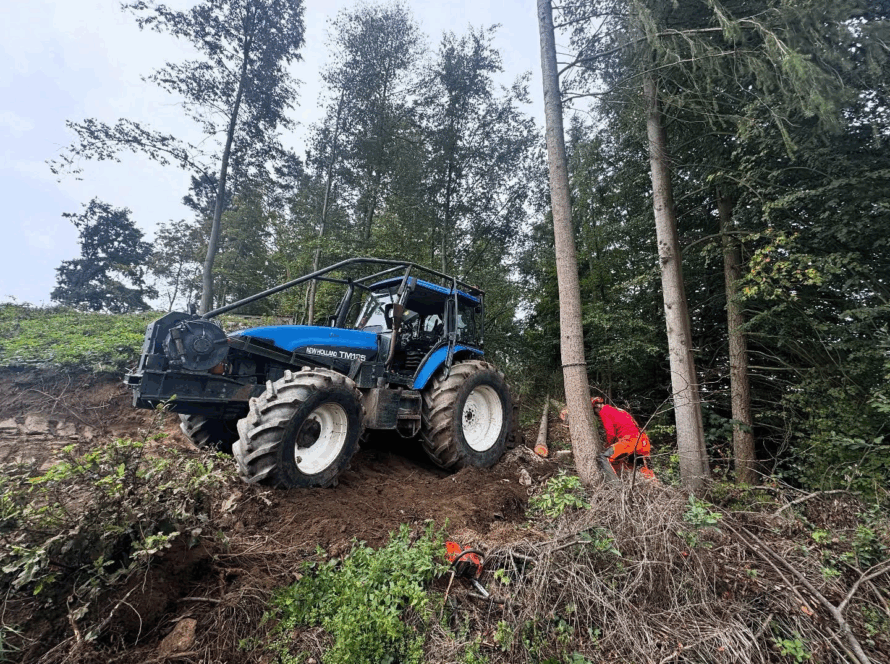 kaceni-stromu-baar-rizikove-kaceni