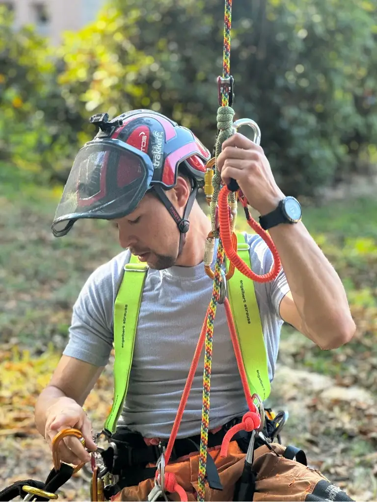Bezpečné kácení stromu v blízkosti domu pomocí horolezecké techniky