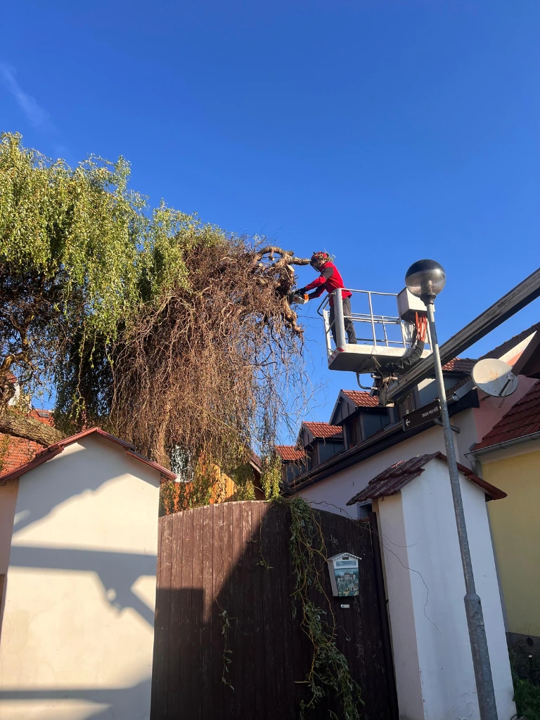 kaceni-stromu-s-plosinou