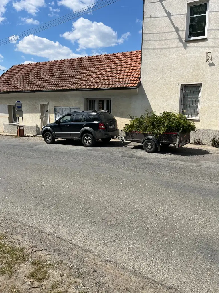 likvidace-a-odvoz-vetvi