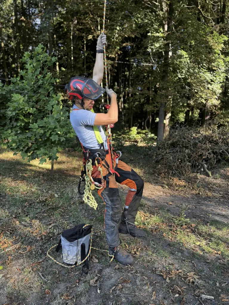 profesionalni-kaceni-stromu