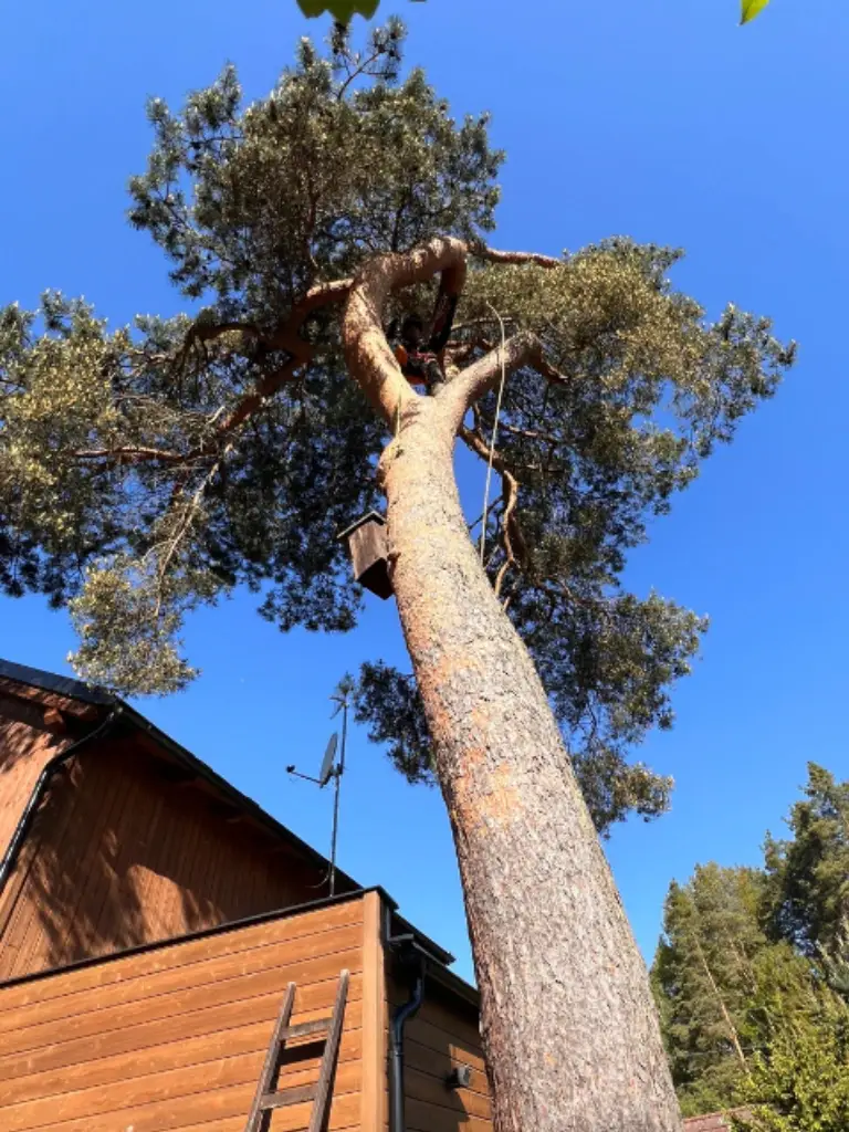 rizikove-kaceni-u-domu