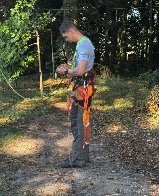 kaceni-stromu-baar-plzen